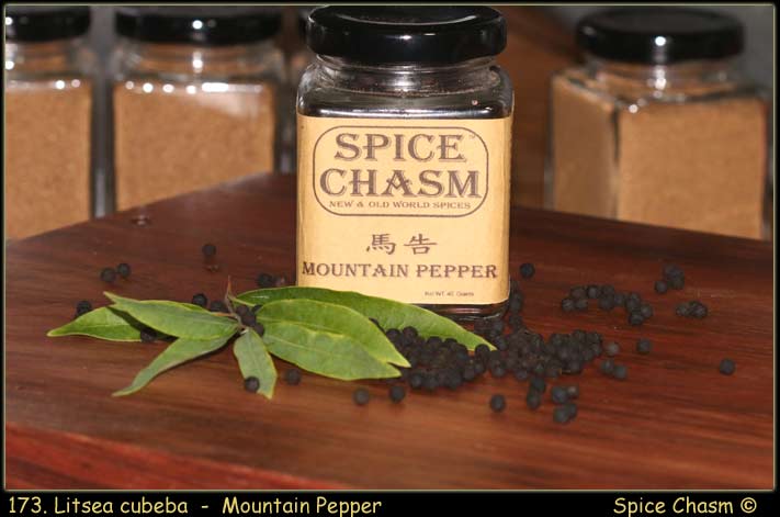 Litsea cubeba - Mountain Pepper -  